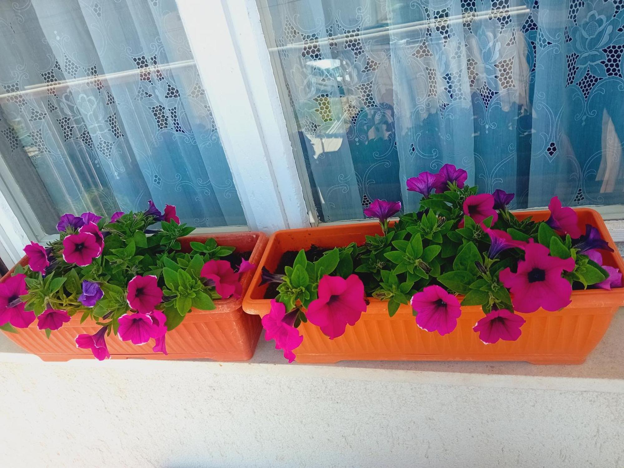 Apartment Dioklecijan *